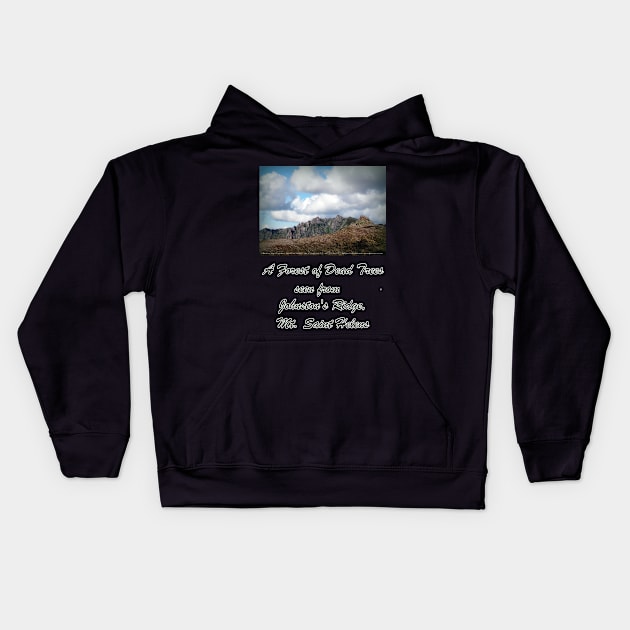 Dead tree devastation near Johnston's Ridge Kids Hoodie by DlmtleArt